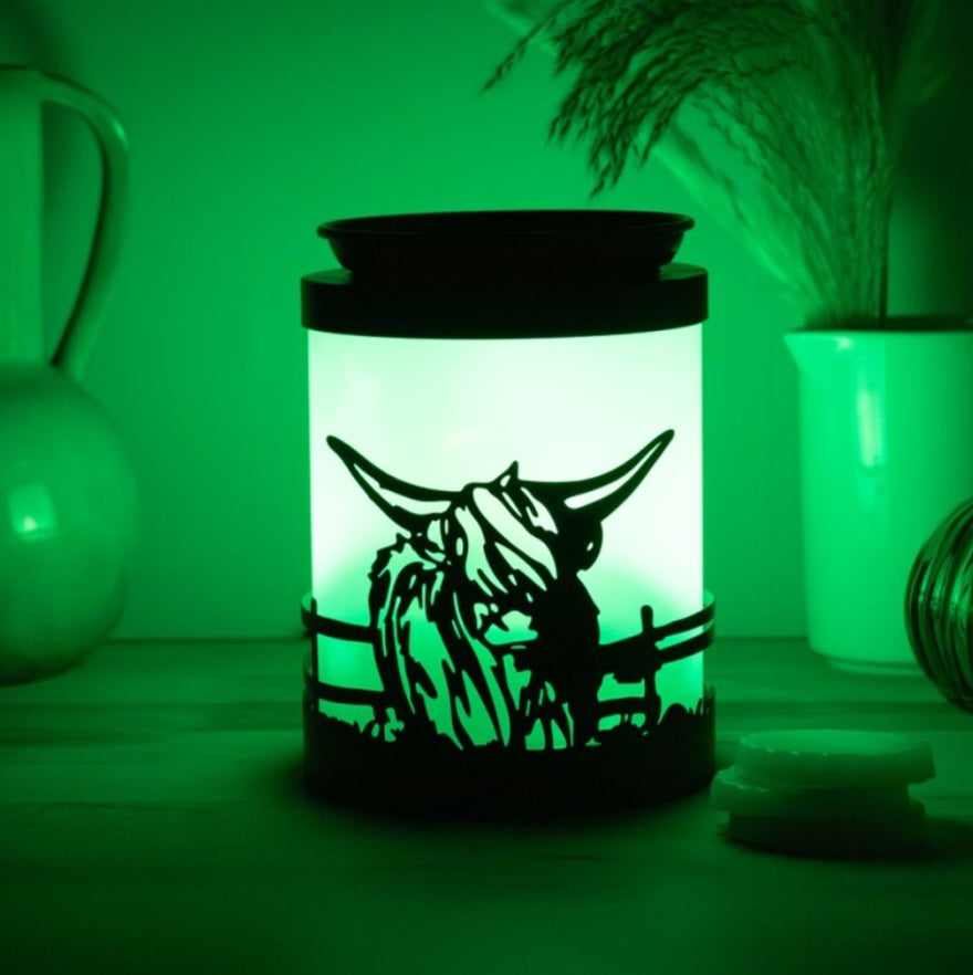 Colour Changing Highland Cow