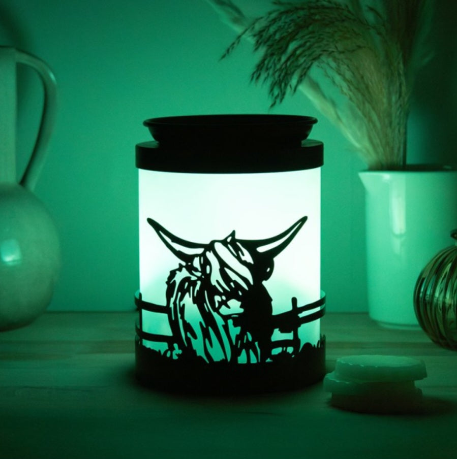 Colour Changing Highland Cow
