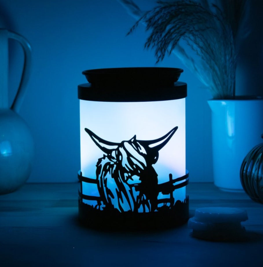 Colour Changing Highland Cow