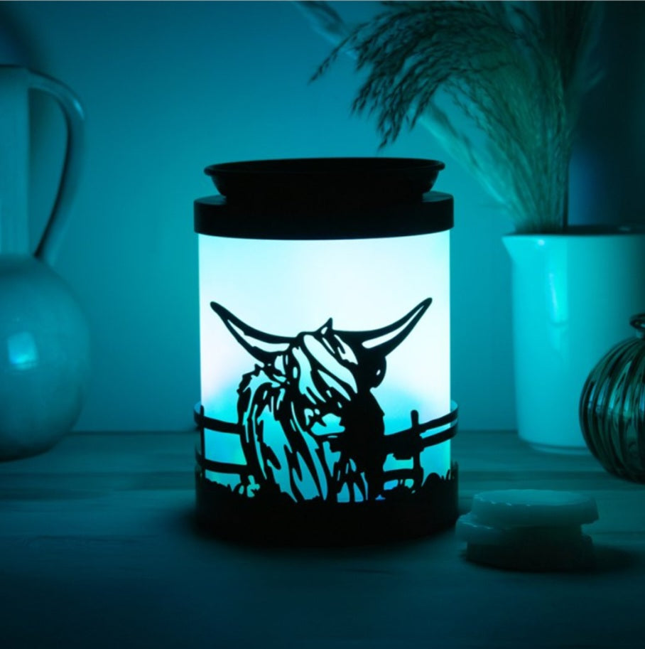 Colour Changing Highland Cow