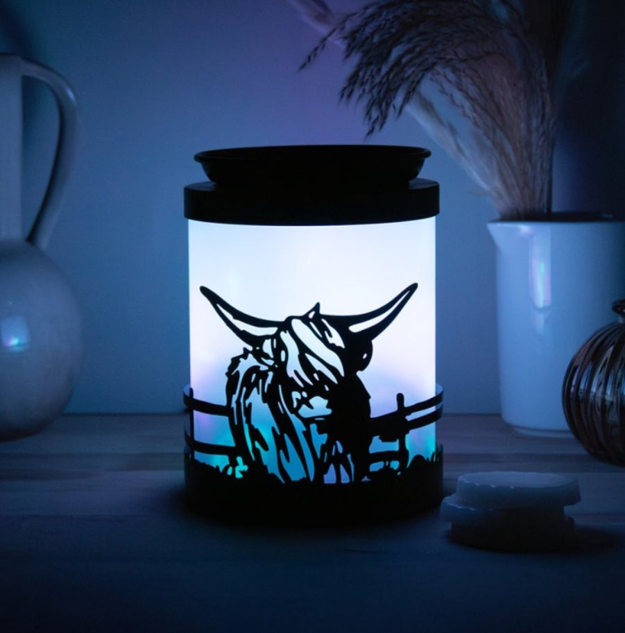 Colour Changing Highland Cow