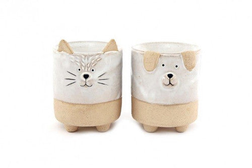 Cat Natural Warmer