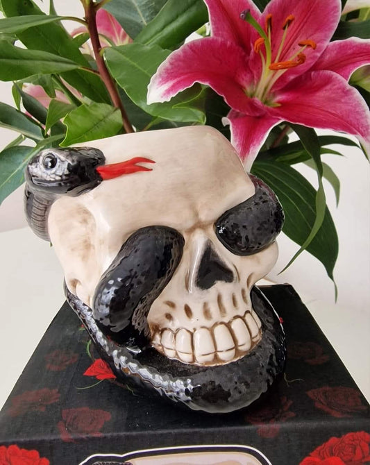 Skull & Snake Burner