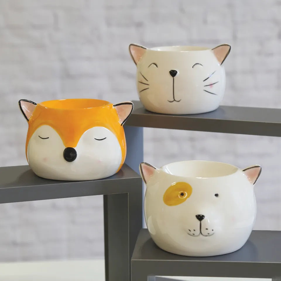 Cat Melter