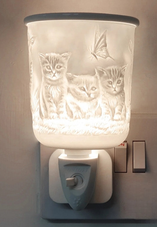Kittens Plug In