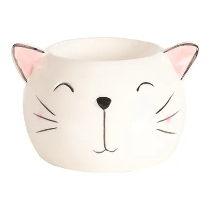 Cat Melter