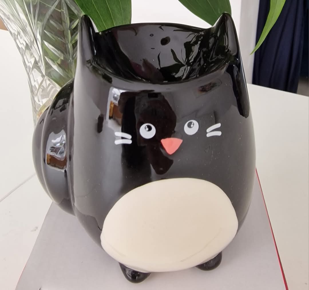 Feline Fine Burner