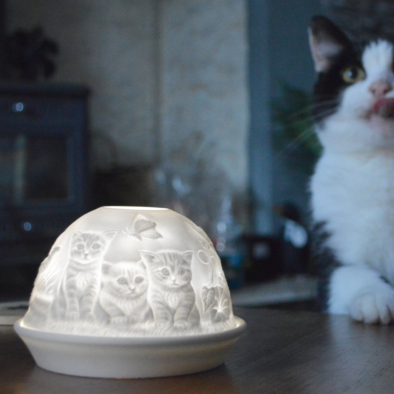 Kittens Tealight Dome