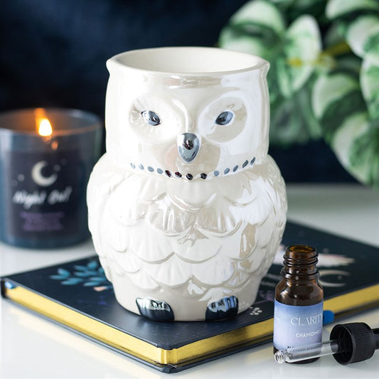 Iridescent Owl Burner